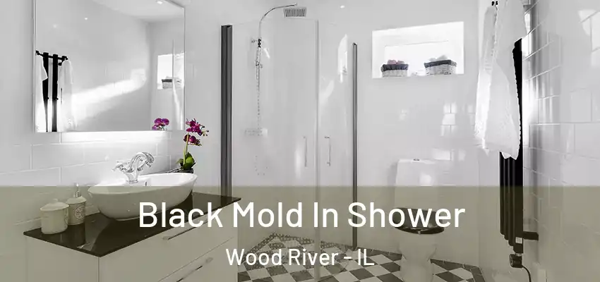  Black Mold In Shower Wood River - IL