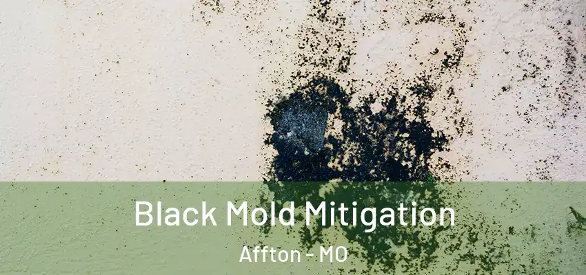  Black Mold Mitigation Affton - MO