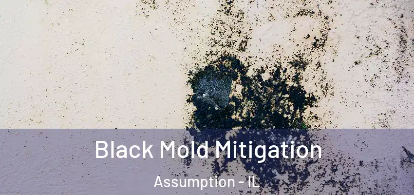  Black Mold Mitigation Assumption - IL