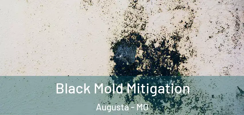  Black Mold Mitigation Augusta - MO