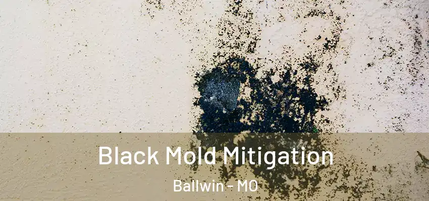  Black Mold Mitigation Ballwin - MO