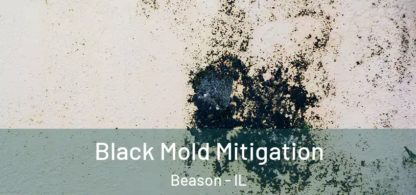  Black Mold Mitigation Beason - IL