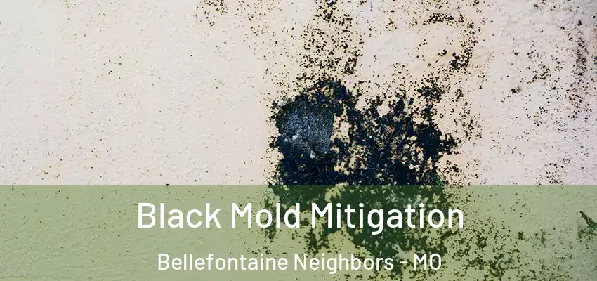  Black Mold Mitigation Bellefontaine Neighbors - MO