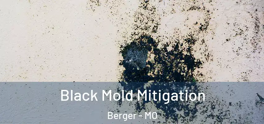  Black Mold Mitigation Berger - MO