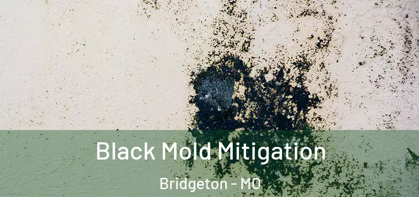  Black Mold Mitigation Bridgeton - MO
