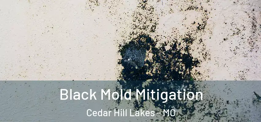  Black Mold Mitigation Cedar Hill Lakes - MO