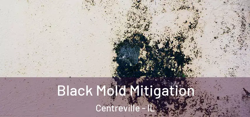  Black Mold Mitigation Centreville - IL