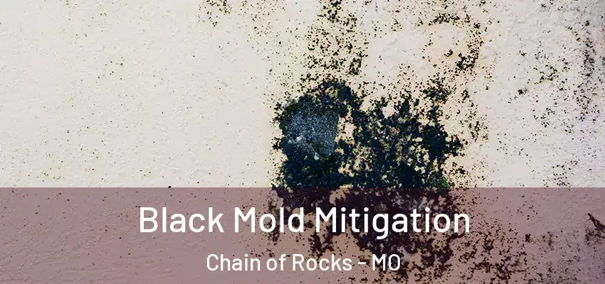  Black Mold Mitigation Chain of Rocks - MO