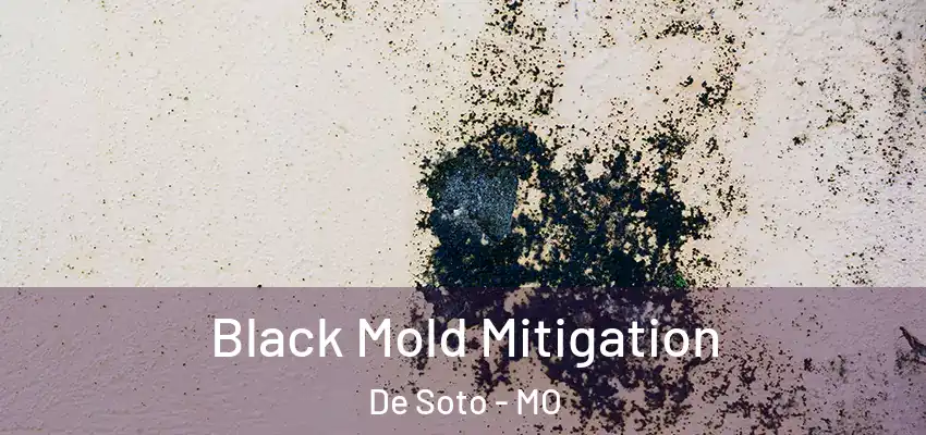  Black Mold Mitigation De Soto - MO