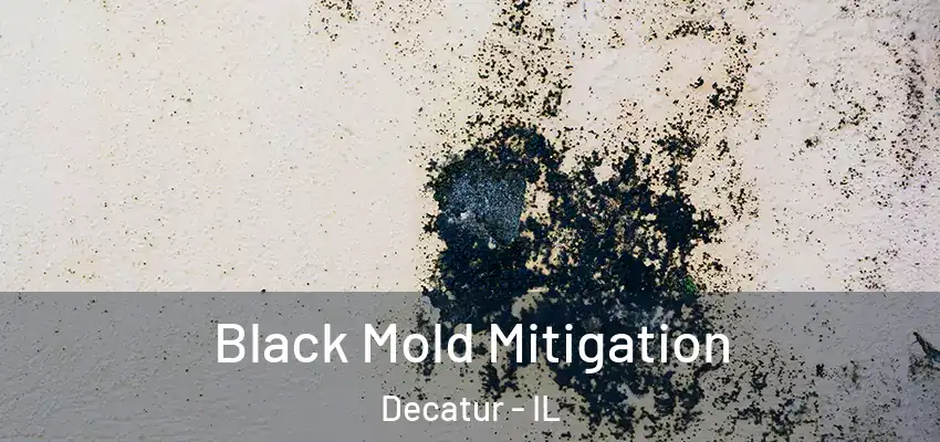  Black Mold Mitigation Decatur - IL