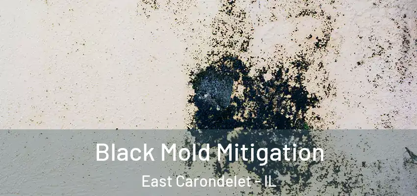  Black Mold Mitigation East Carondelet - IL