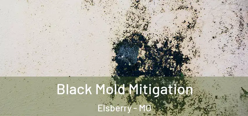  Black Mold Mitigation Elsberry - MO