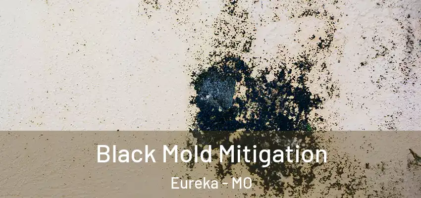 Black Mold Mitigation Eureka - MO