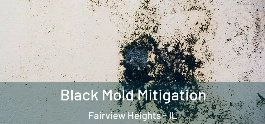  Black Mold Mitigation Fairview Heights - IL