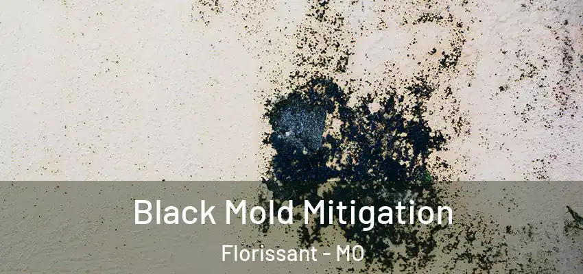  Black Mold Mitigation Florissant - MO