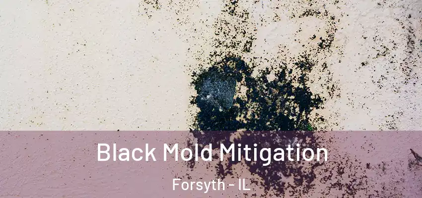  Black Mold Mitigation Forsyth - IL