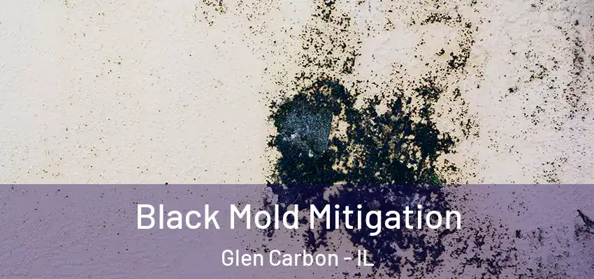  Black Mold Mitigation Glen Carbon - IL