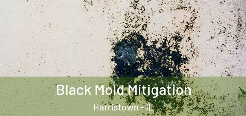  Black Mold Mitigation Harristown - IL