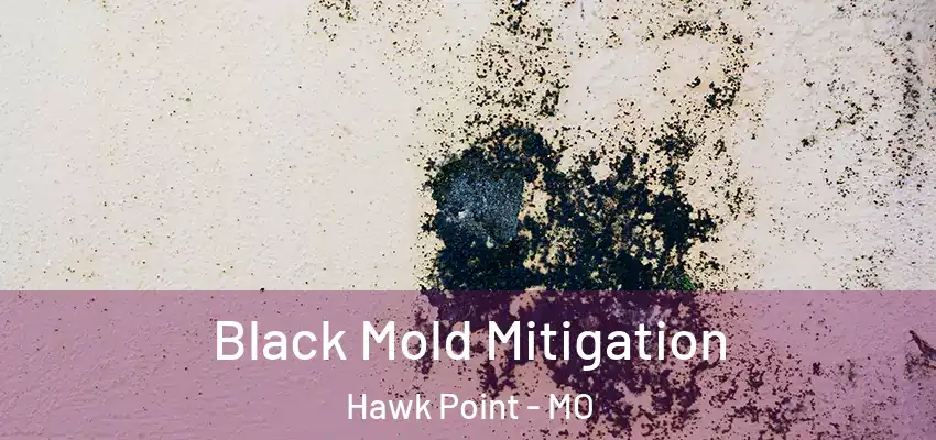 Black Mold Mitigation Hawk Point - MO