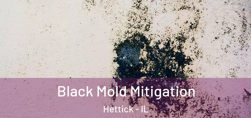  Black Mold Mitigation Hettick - IL