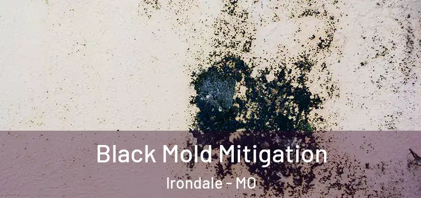  Black Mold Mitigation Irondale - MO