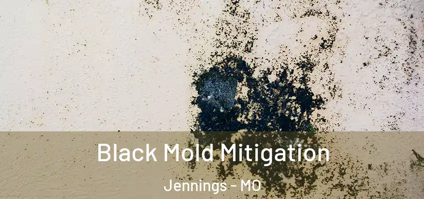 Black Mold Mitigation Jennings - MO