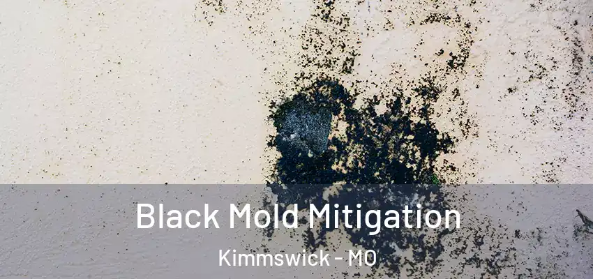  Black Mold Mitigation Kimmswick - MO