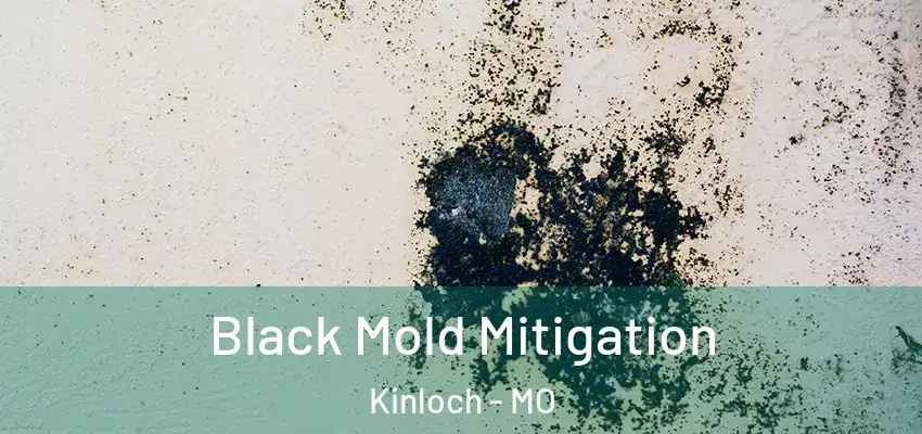  Black Mold Mitigation Kinloch - MO