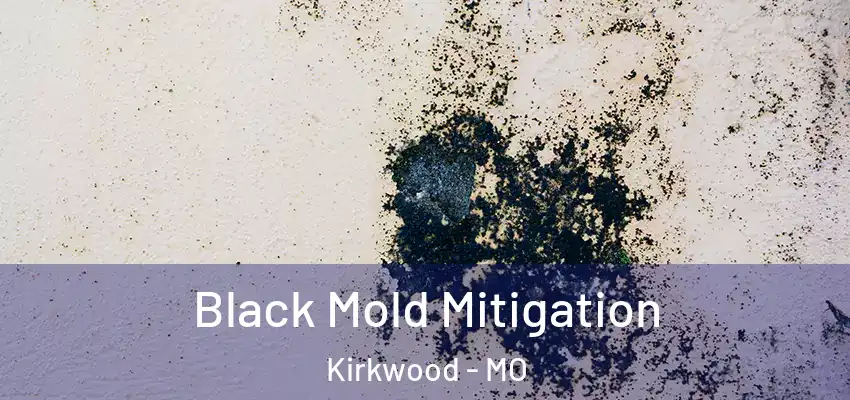  Black Mold Mitigation Kirkwood - MO