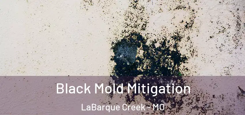 Black Mold Mitigation LaBarque Creek - MO