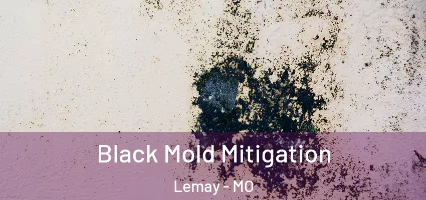 Black Mold Mitigation Lemay - MO