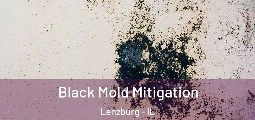  Black Mold Mitigation Lenzburg - IL