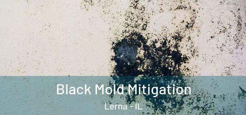 Black Mold Mitigation Lerna - IL
