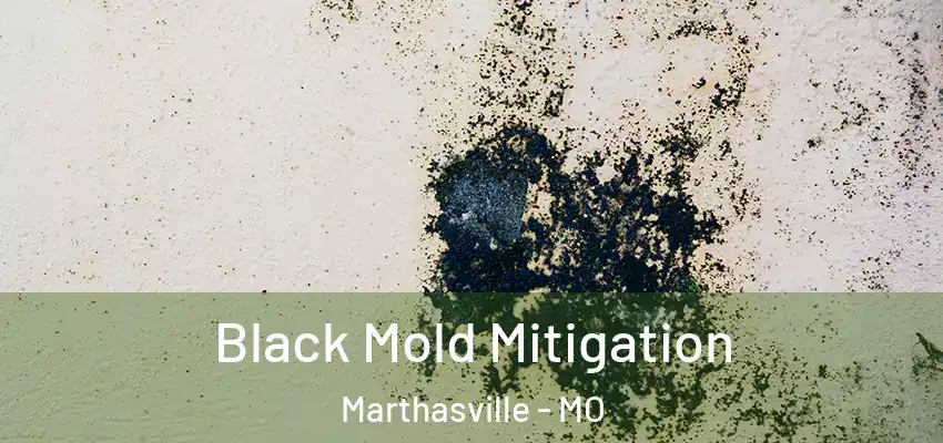 Black Mold Mitigation Marthasville - MO