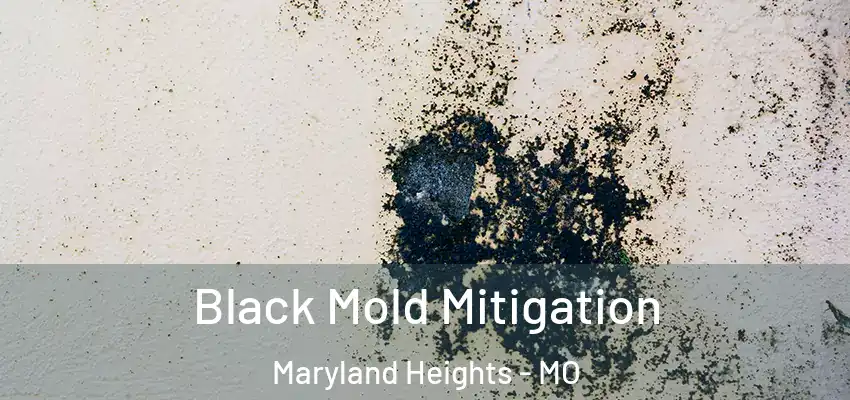  Black Mold Mitigation Maryland Heights - MO