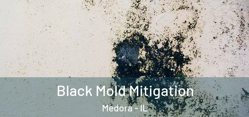  Black Mold Mitigation Medora - IL