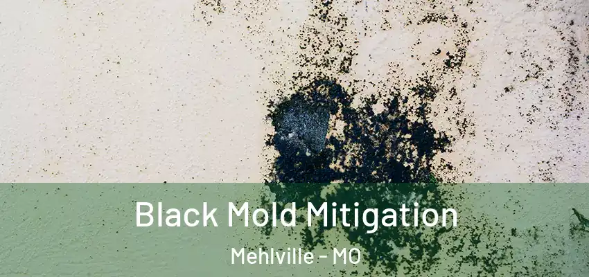  Black Mold Mitigation Mehlville - MO
