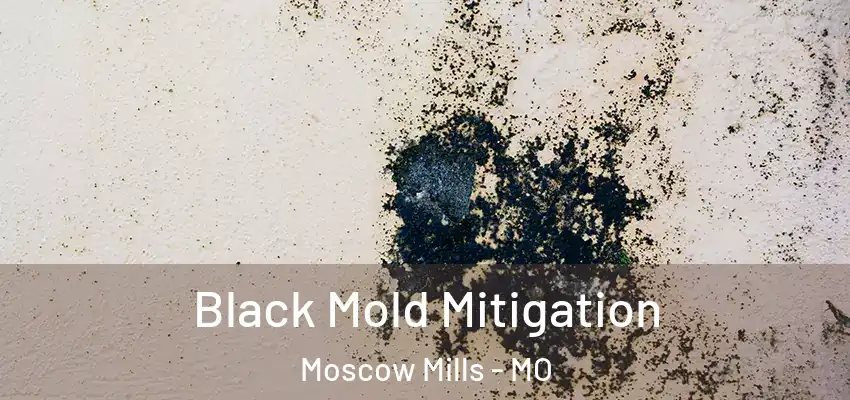  Black Mold Mitigation Moscow Mills - MO