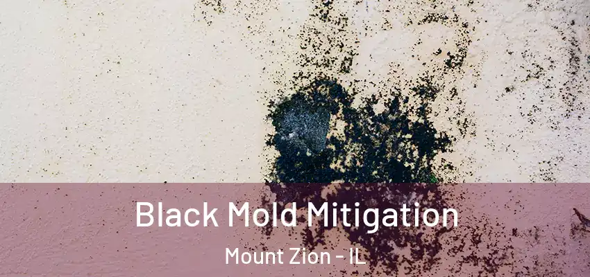  Black Mold Mitigation Mount Zion - IL