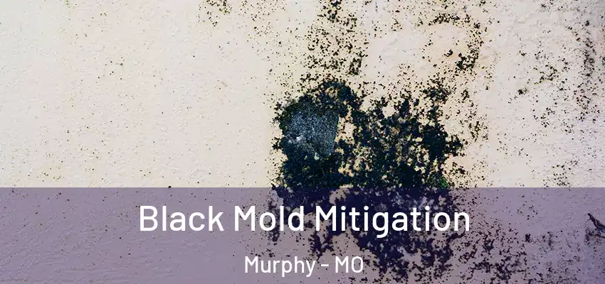 Black Mold Mitigation Murphy - MO