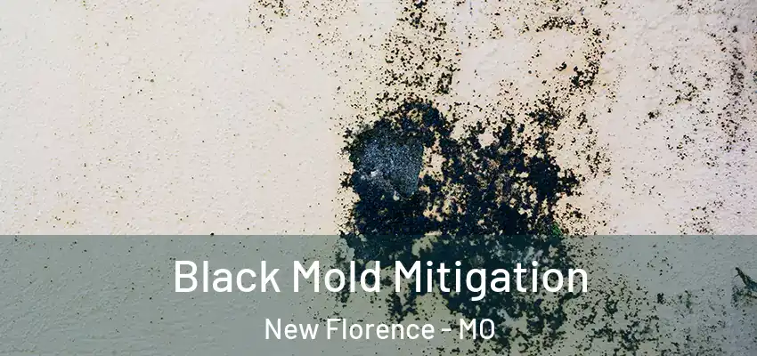 Black Mold Mitigation New Florence - MO