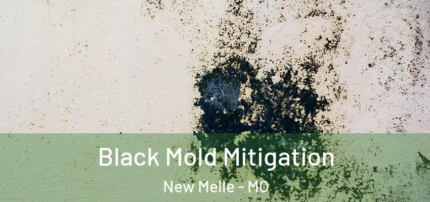  Black Mold Mitigation New Melle - MO