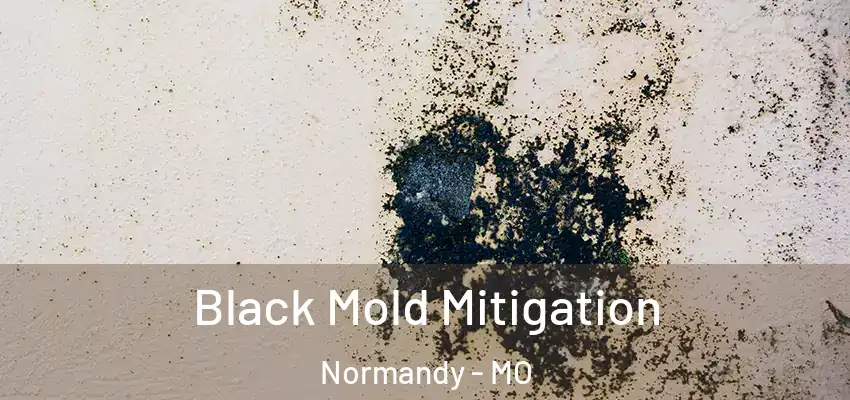 Black Mold Mitigation Normandy - MO