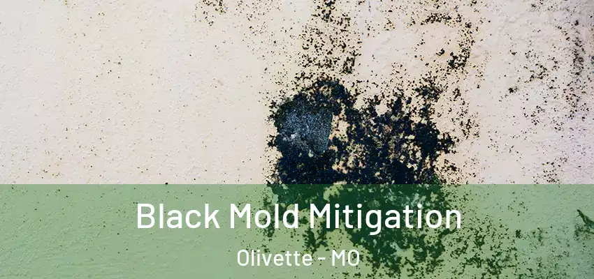  Black Mold Mitigation Olivette - MO