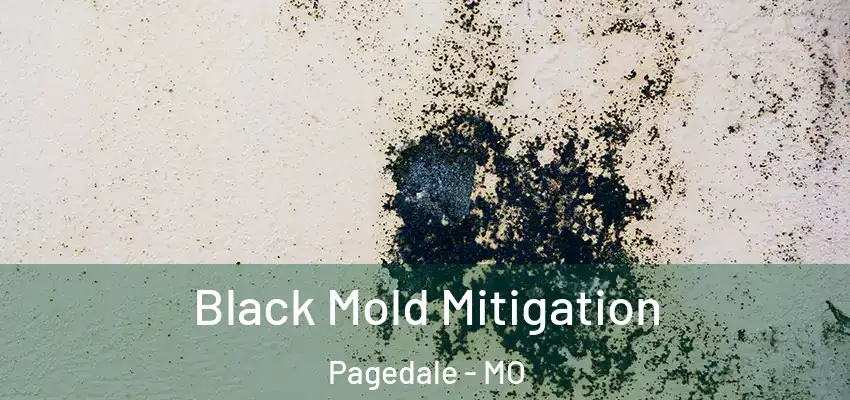 Black Mold Mitigation Pagedale - MO