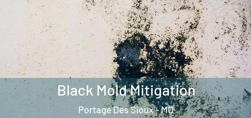  Black Mold Mitigation Portage Des Sioux - MO