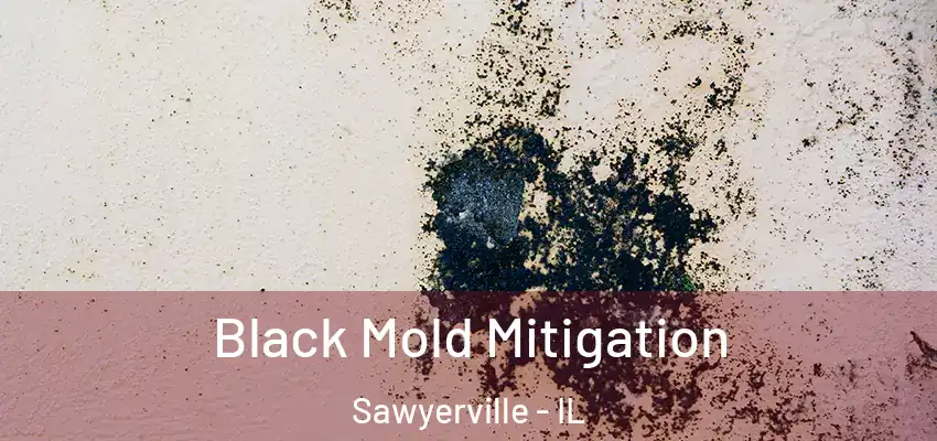  Black Mold Mitigation Sawyerville - IL