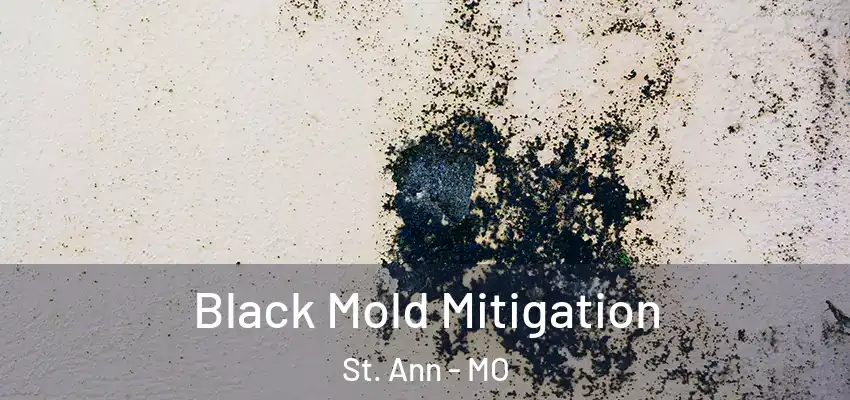  Black Mold Mitigation St. Ann - MO
