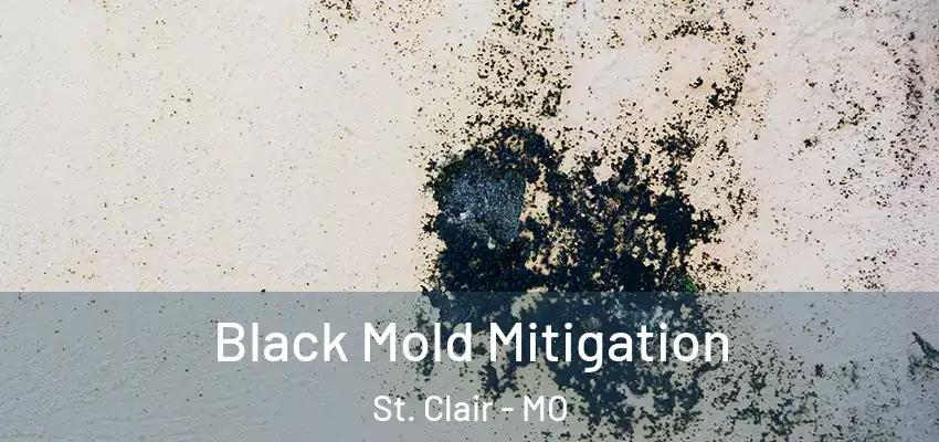 Black Mold Mitigation St. Clair - MO