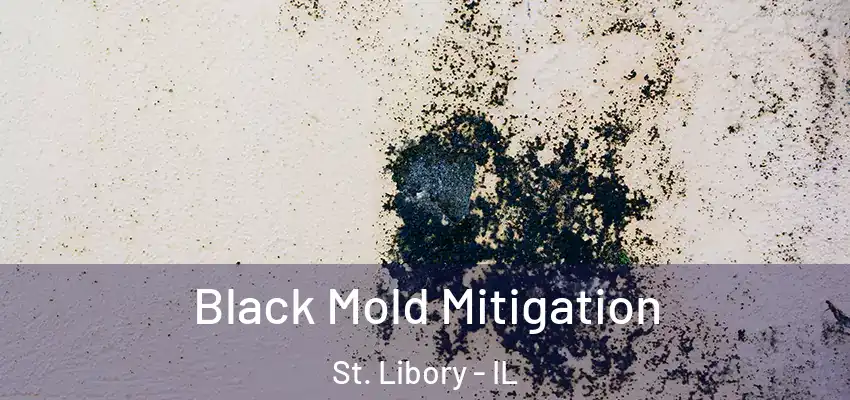  Black Mold Mitigation St. Libory - IL